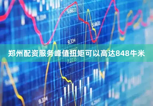 郑州配资服务峰值扭矩可以高达848牛米