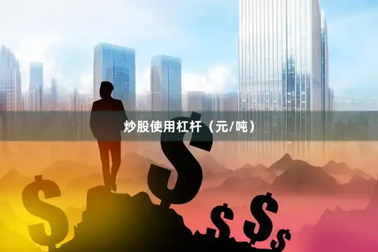 炒股使用杠杆（元/吨）
